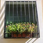 La Casita Del Marques